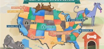 The Best Cities for Dogs & Dog Lovers