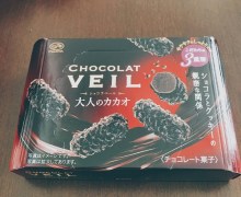 Marty Friedman on Chocolat Veil, “If you’re in Japan, you gotta try this chocolate!”
