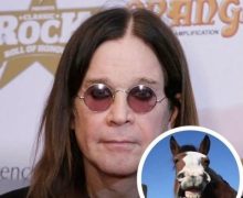 Why Ozzy Osbourne Quit Taking Acid: “That was it for me”